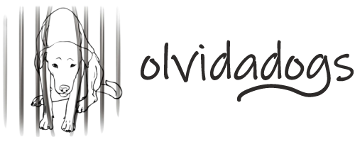 Logo: Asociación Olvidadogs